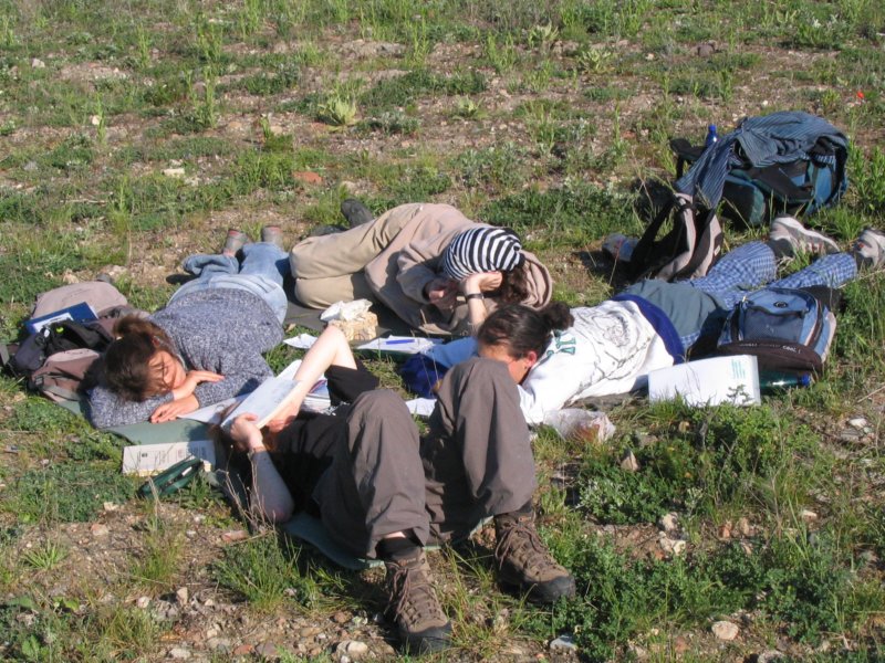 bedna_2007021.jpg