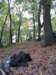 nora4_20070021_small.jpg