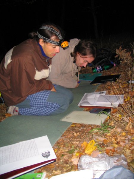 nora4_20070023.jpg