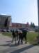 osud_2007001_small.jpg