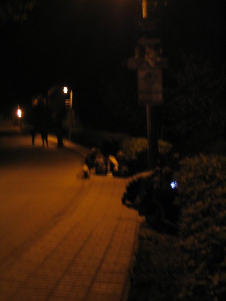 osud_20080042.jpg