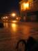 svicky_20070018_small.jpg