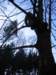 unorovylet_080029_small.jpg