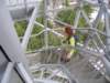 velikonoce_2008uo0006_small.jpg
