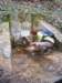 velikonoce_2008uo0017_small.jpg