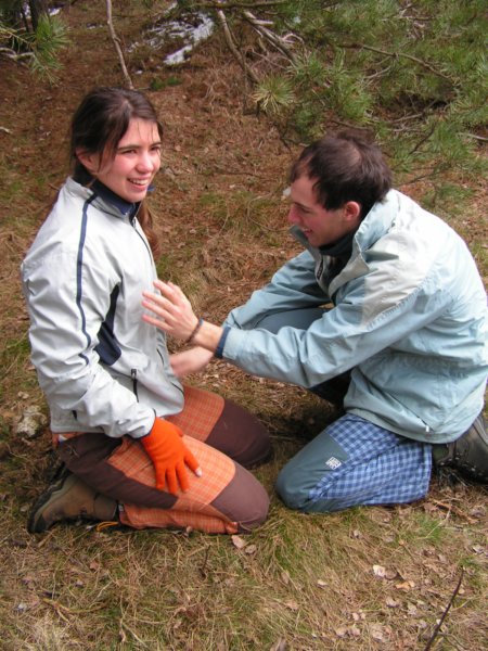pict1536.jpg