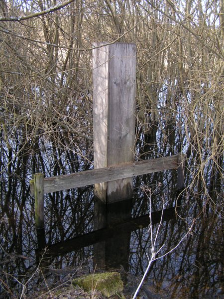 pict1564.jpg