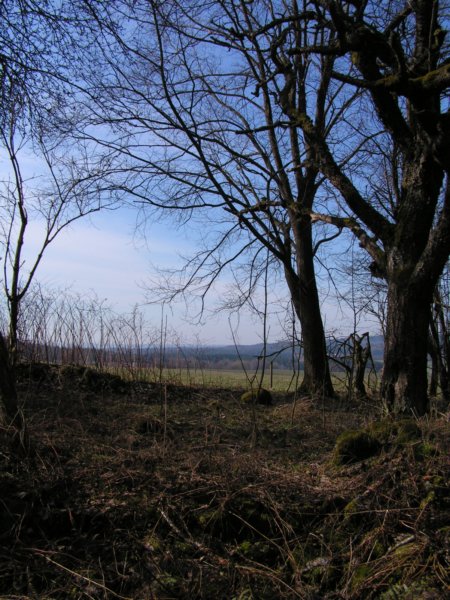 pict1586.jpg