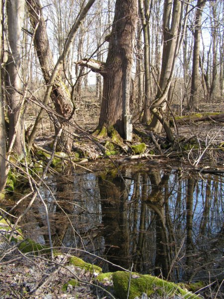 pict1593.jpg