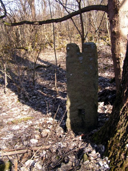 pict1598.jpg