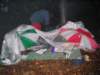 zanosem2006patasifra4_small.jpg