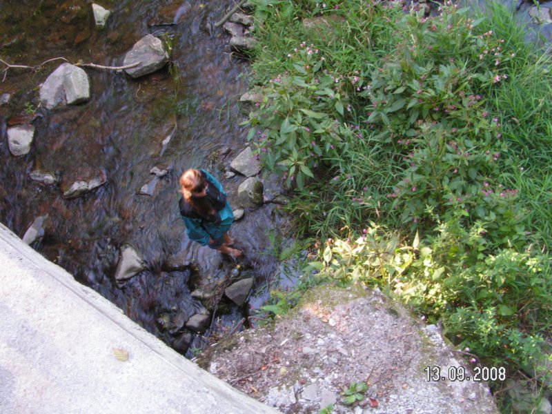 pict0040.jpg